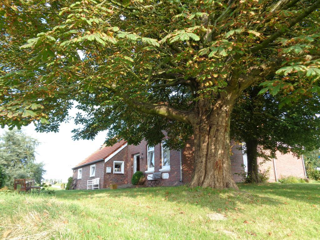 Marijanas Landhaus am Meer Appartement Middelsbur Buitenkant foto